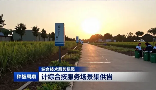种植周期管理中技术服务的场景化应用