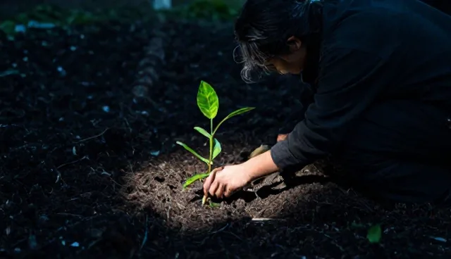 种植技术指导中的水质调控关键环节分析