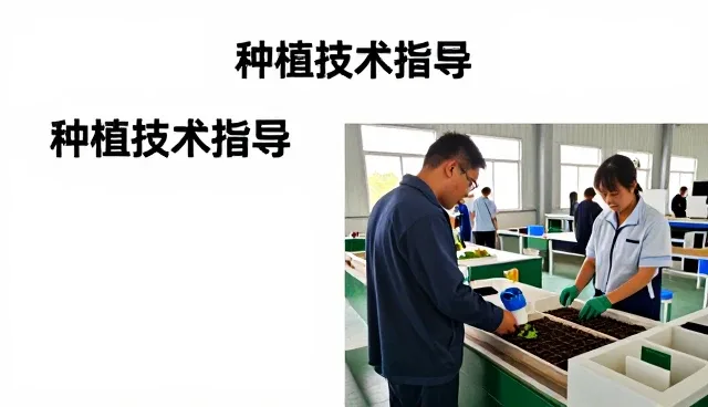 阜宁同满水产养殖有限公司打造技术应用案例